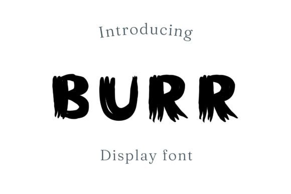 Burr: The Bold Typeface for Stronger Brand Identity